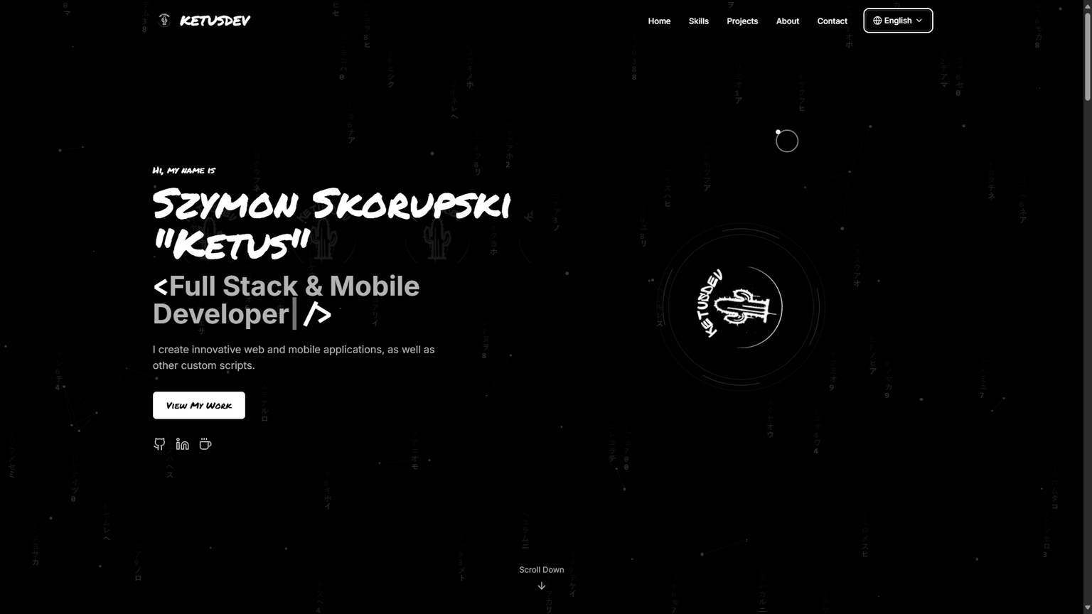 Old Portfolio - Image 1